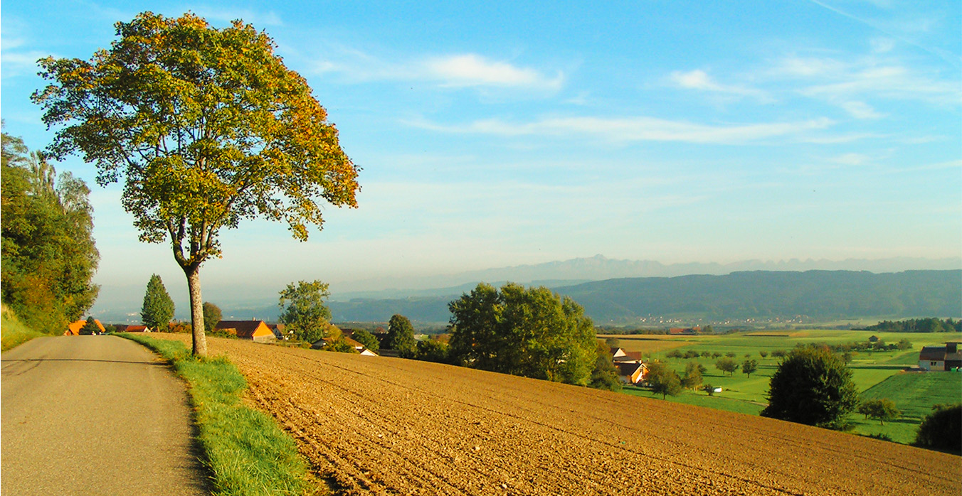 Das Bild zeigt auf tiefschwarzem Hintergrund den Titel der Vorlesung: Warum Kunst?