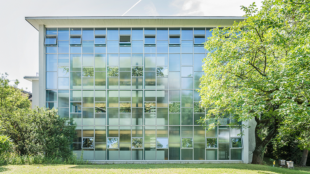 A picture of the seminar: the glasswall, with trees on its left and right.