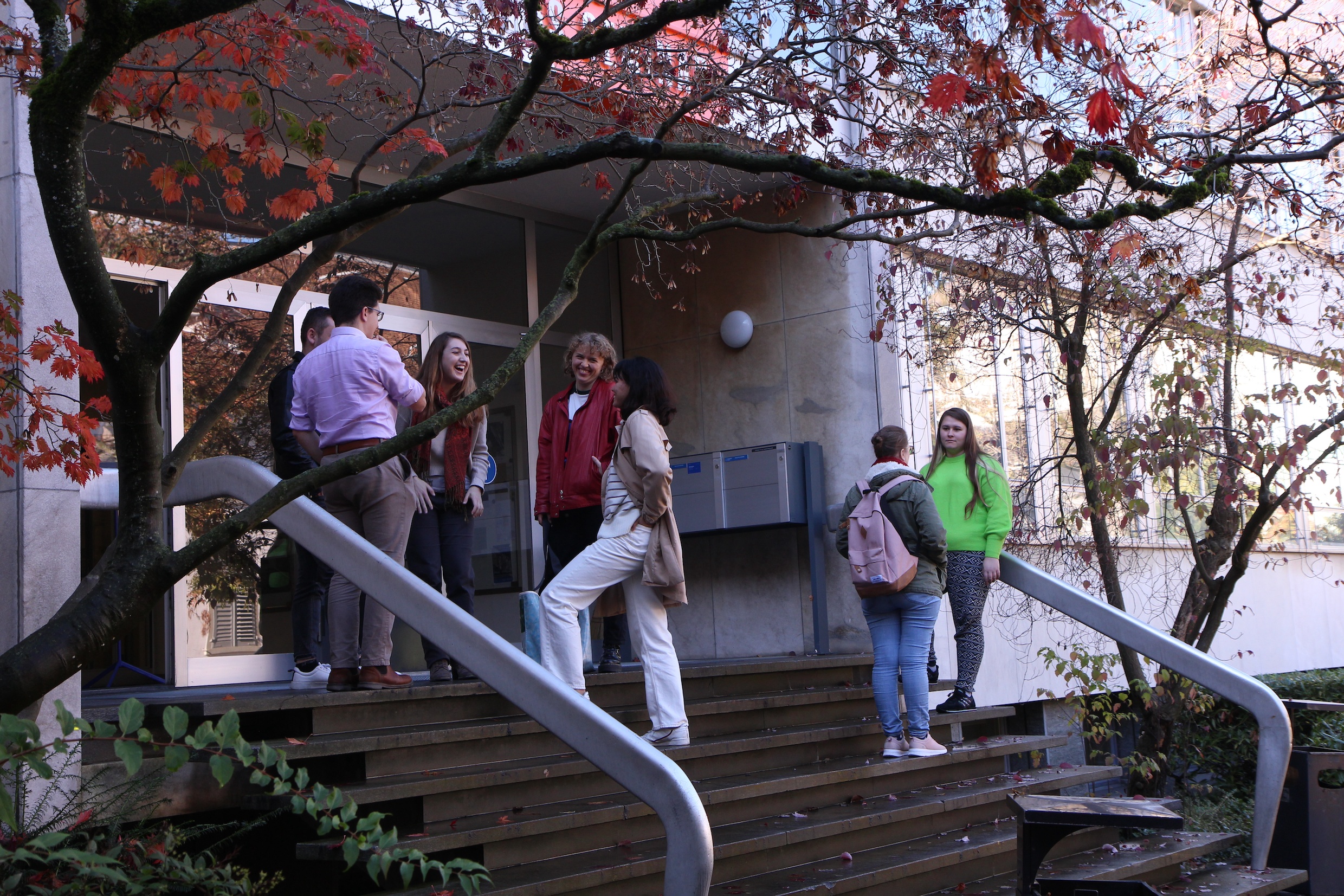 Das Bild zeigt eine Gruppe von Studierenden, die auf der Freitreppe vor dem Deutschen Seminar stehen und sich unterhalten. Es ist Herbst, rote Blätter hängen an den Bäumen links und rechts.