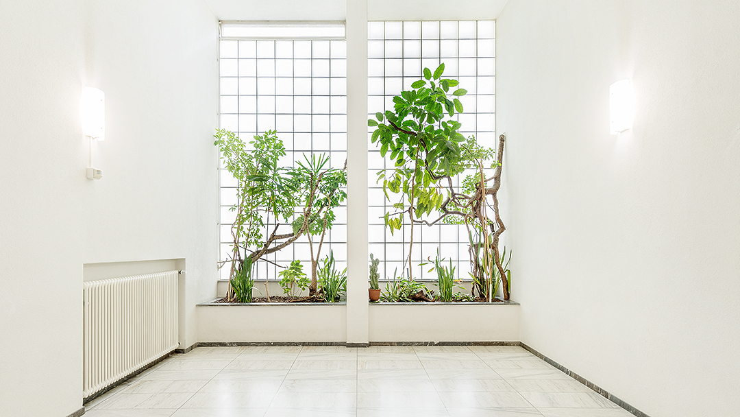 Das Bild zeigt das Treppenhaus am Deutschen Seminar mit Pflanzen.