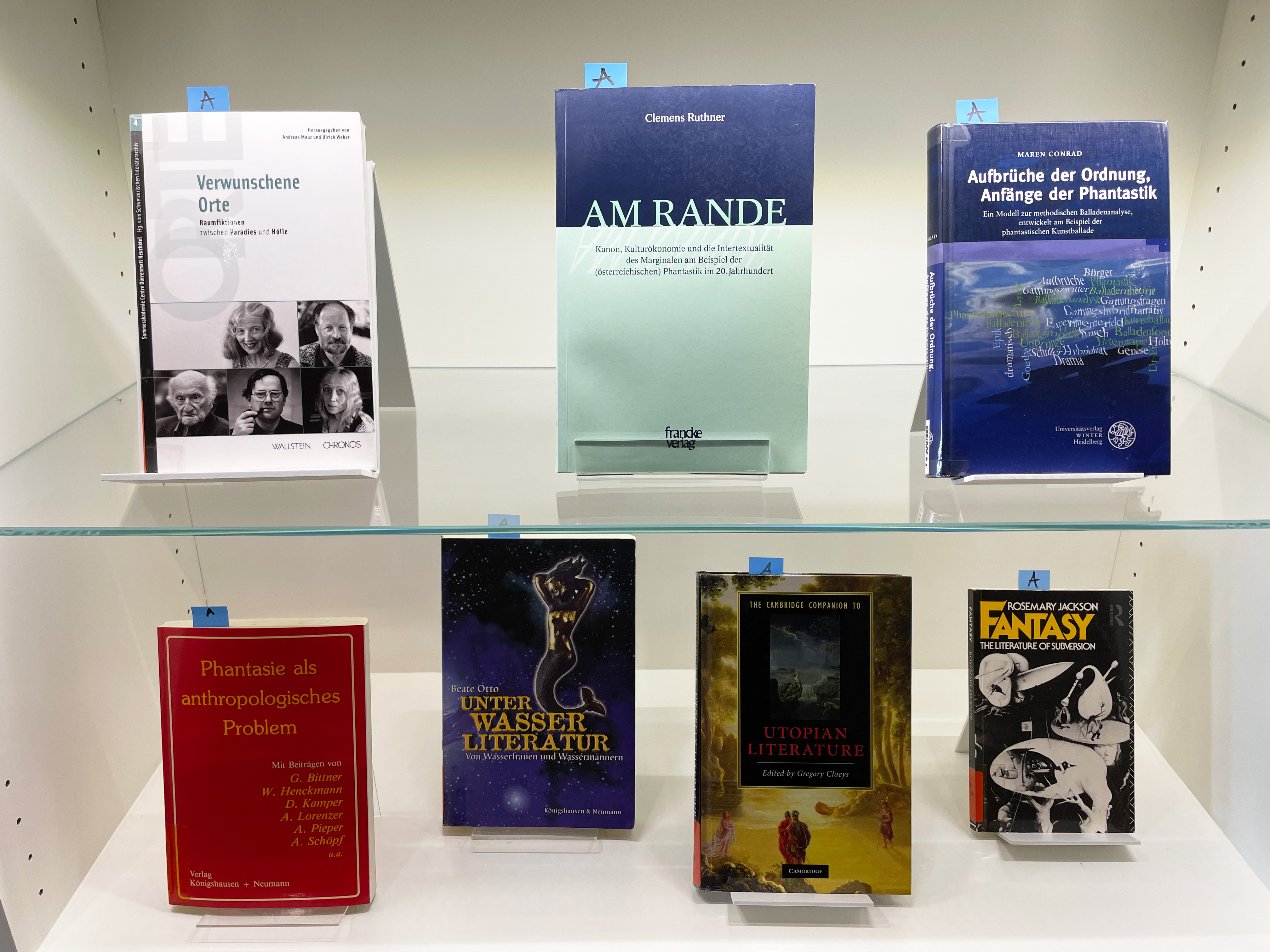 Das Foto zeigt eine Büchervitrine