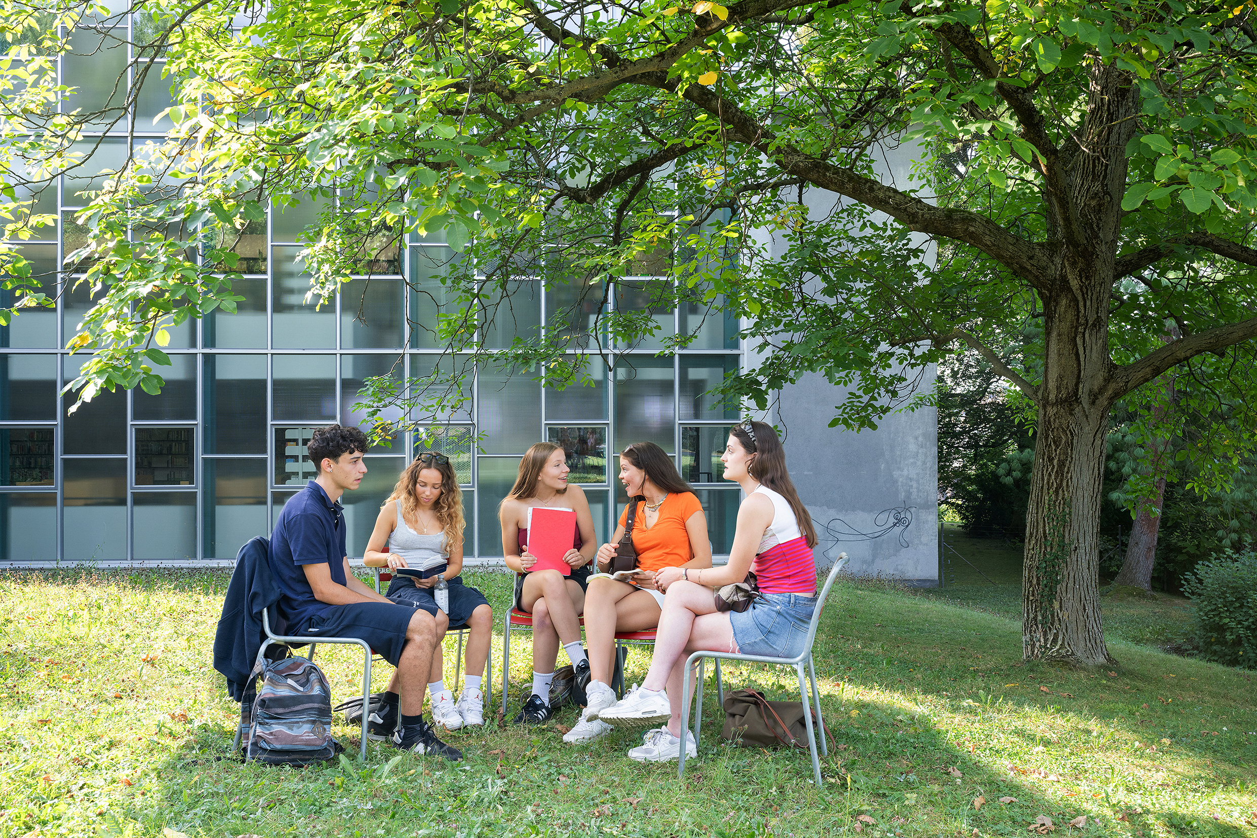 diskutierende Studis sitzen auf einer Wiese, es scheint die Sonne.